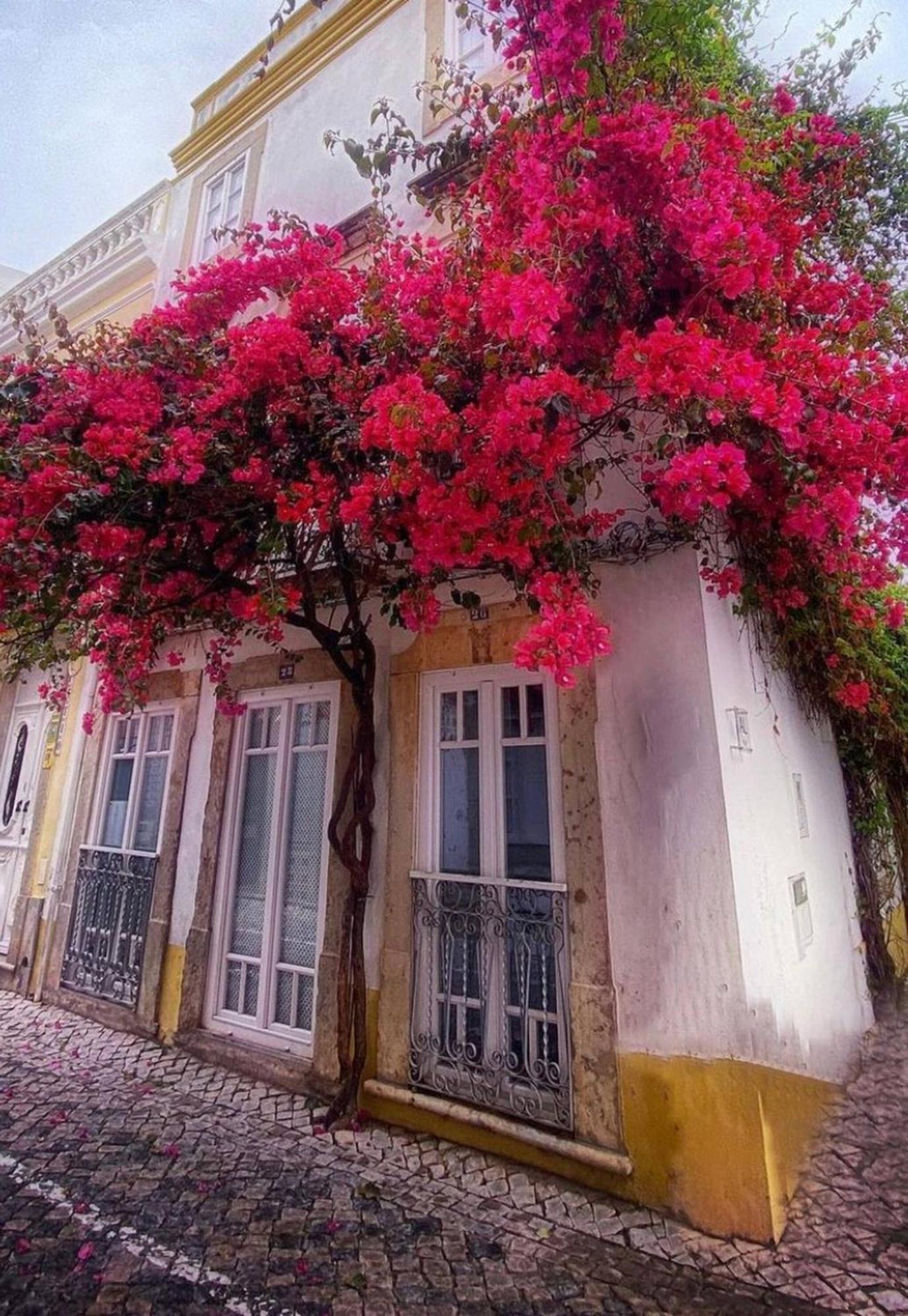 Chic Suite Sequa In Taviras Historical Centre 외부 사진